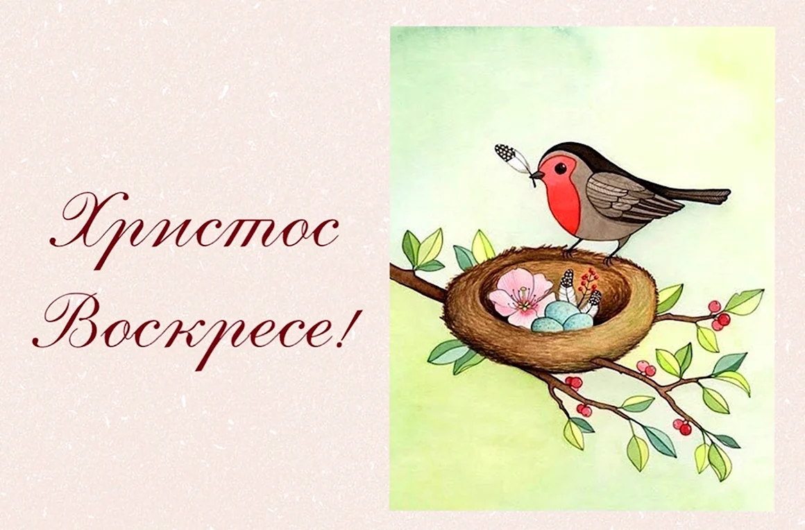 Птички в гнездышках