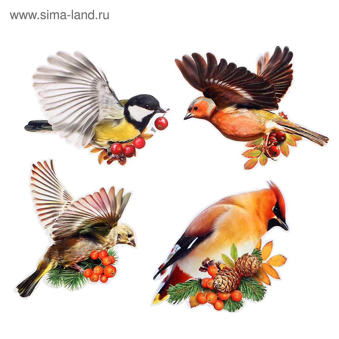 Птицы для оформления