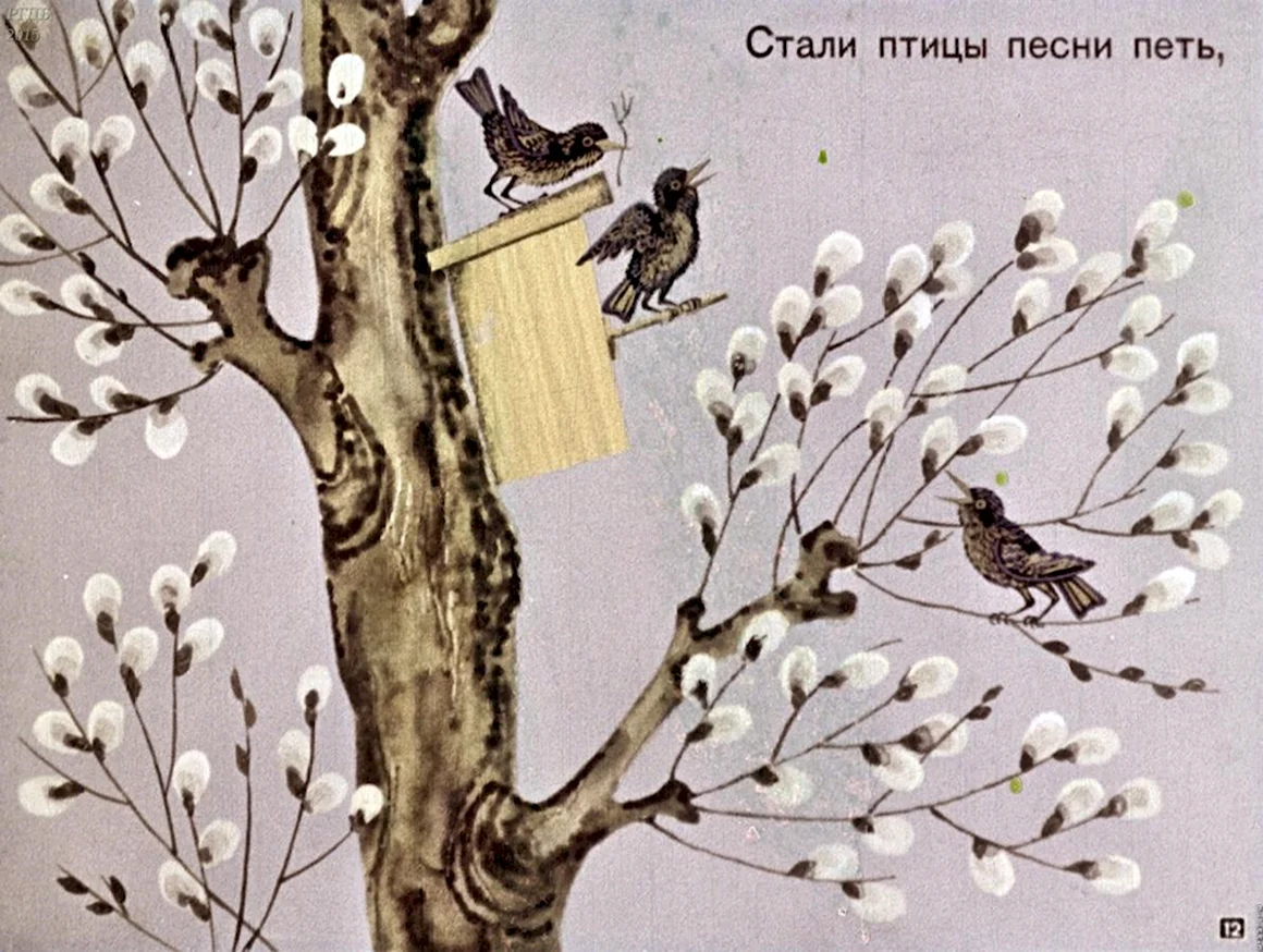 Птицы встречают весну