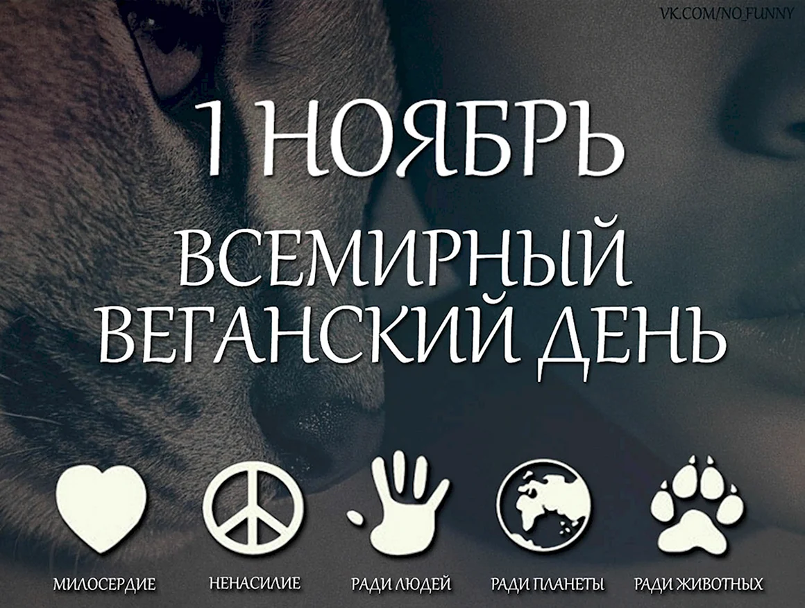 Пусть к сердцу вегана