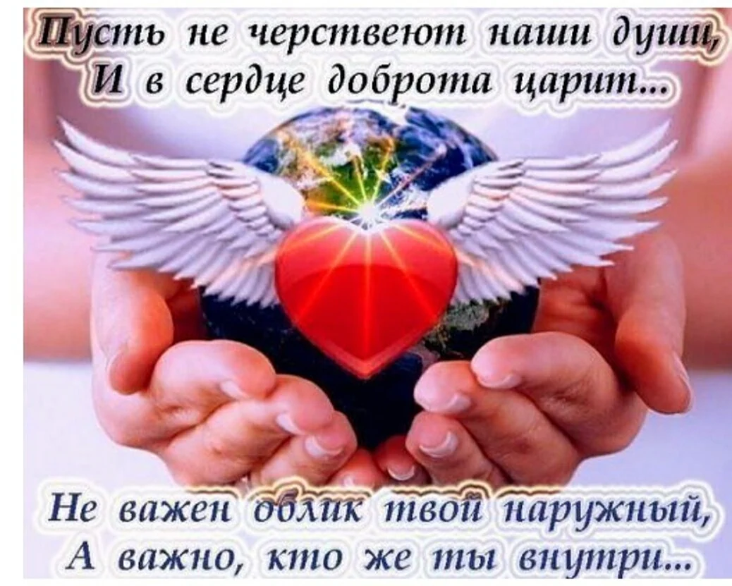 Пусть не черствеют наши души и в сердце