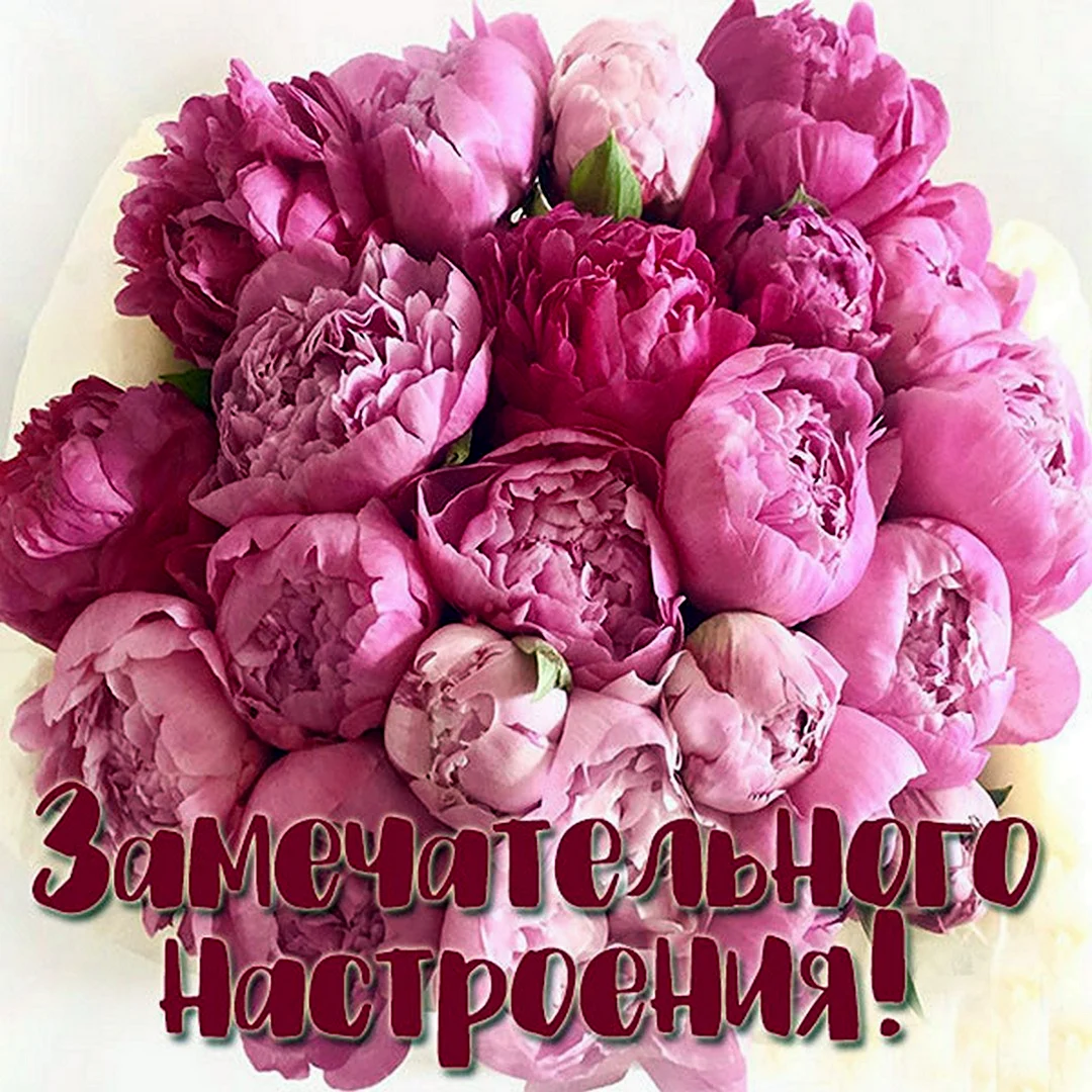 Пусть сегодня будет всё великолепно