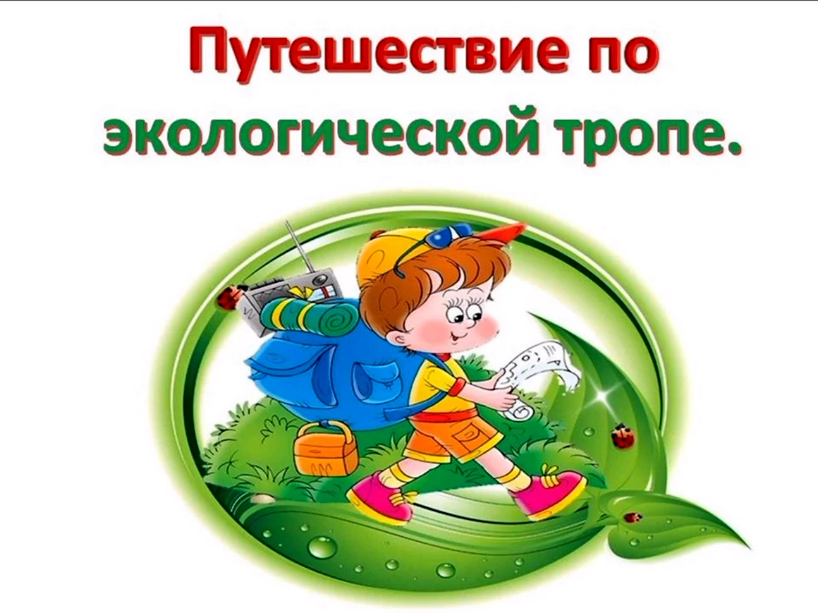 Путешествие по экологической тропе
