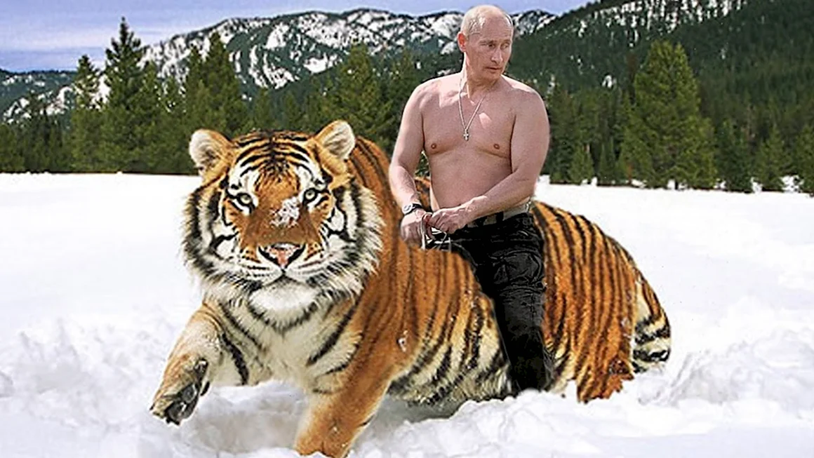 Путин и Амурский тигр