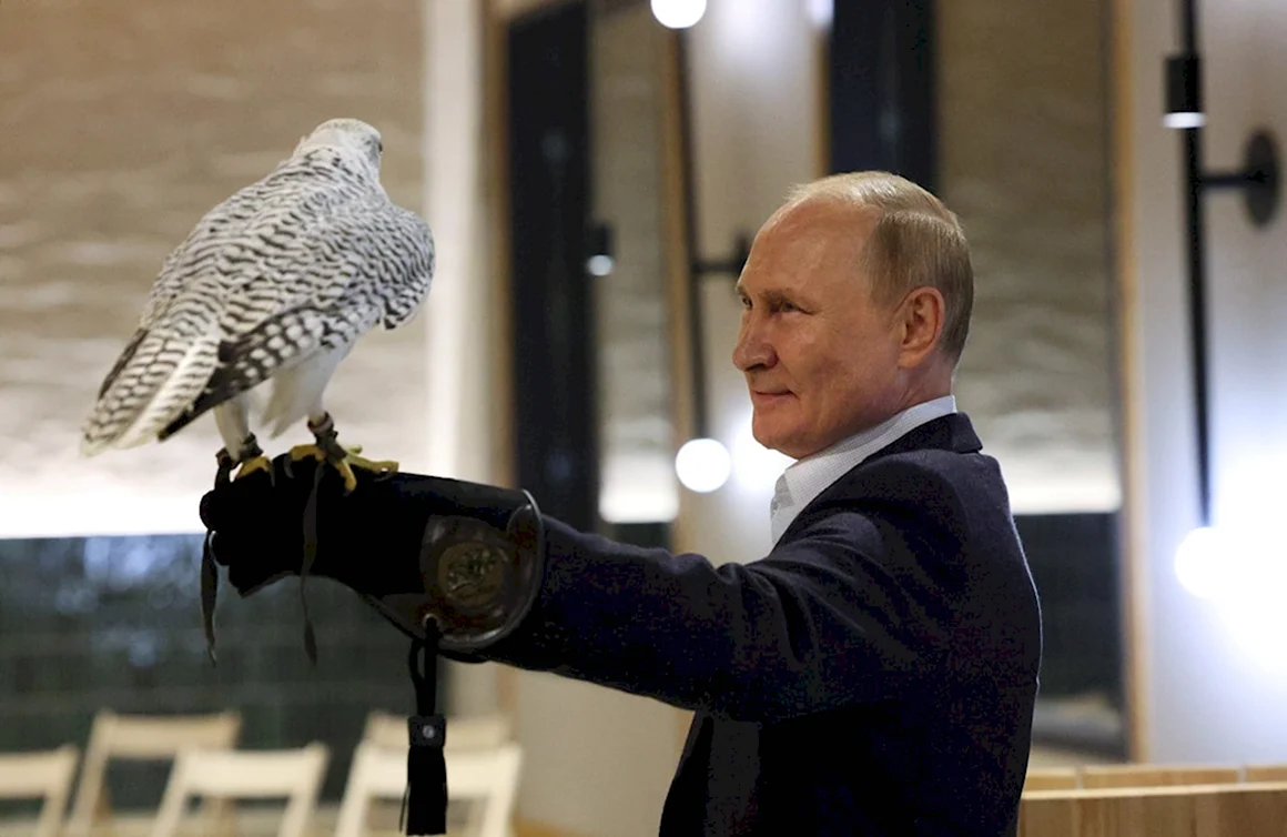 Путин и Кречет