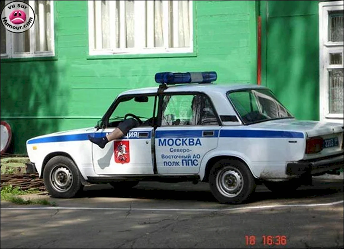Работа не волк