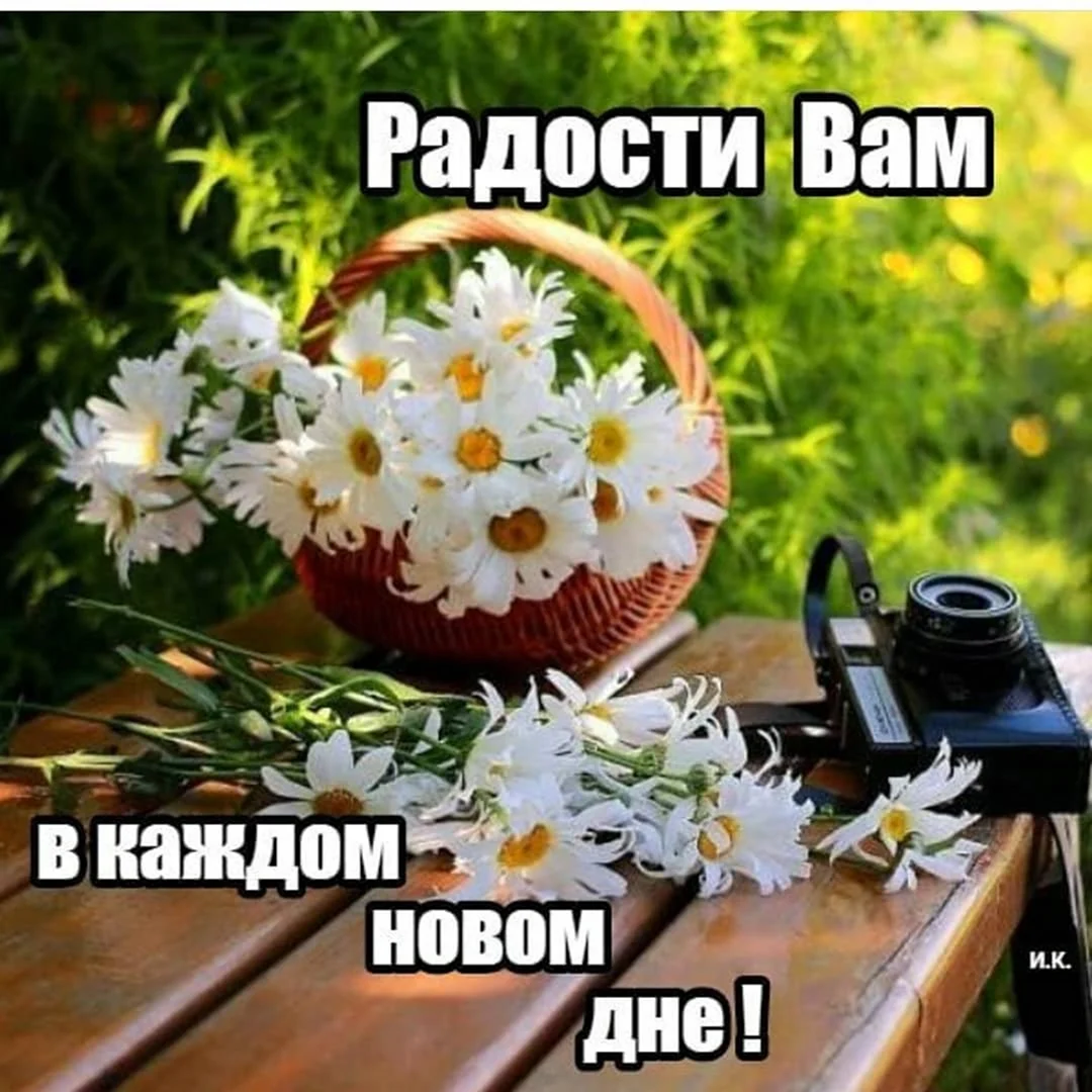 Радости в каждом дне