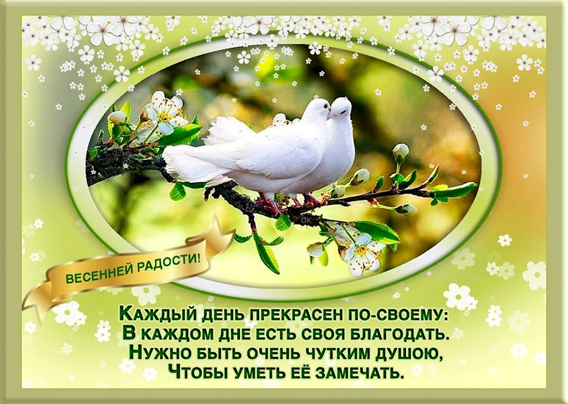 Радости в новом дне