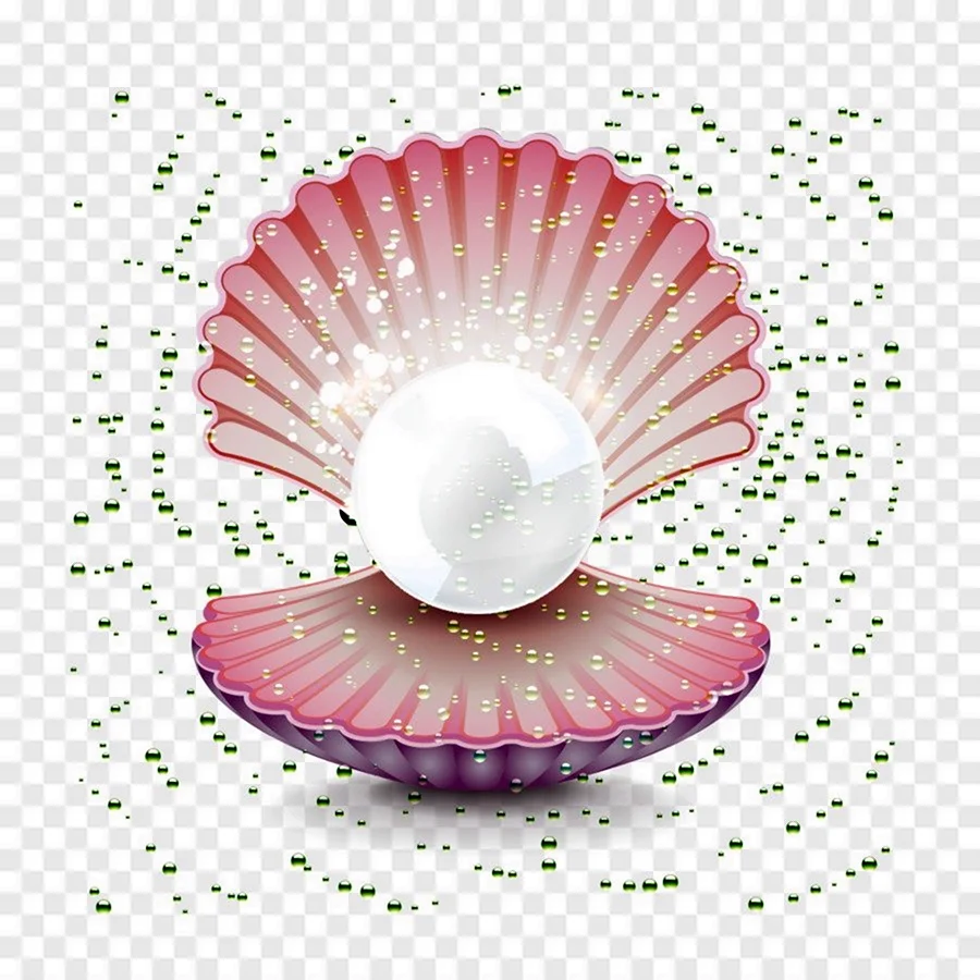 Ракушка с жемчужиной
