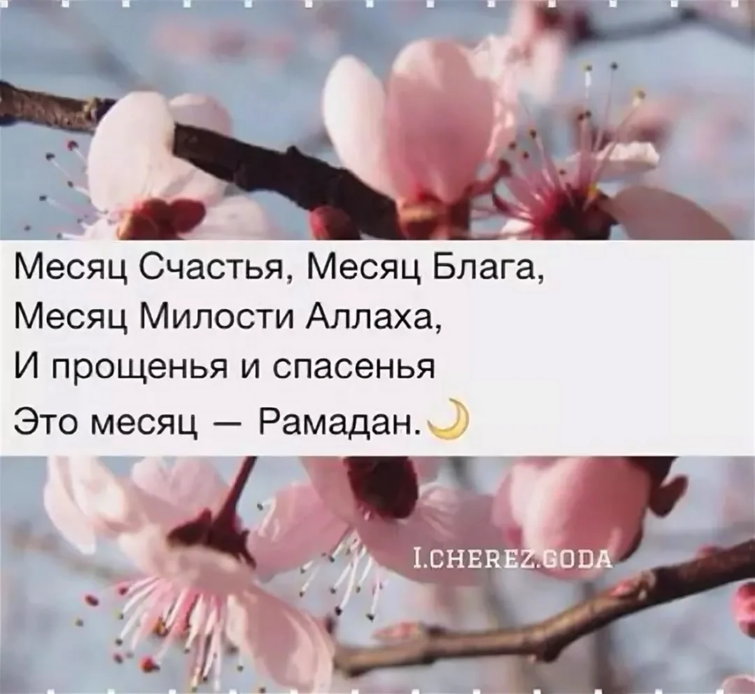 Рамадан месяц милости и прощения