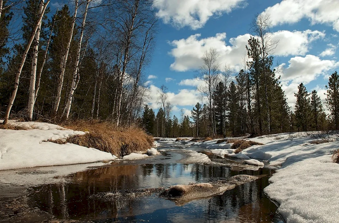 Ранняя Весна