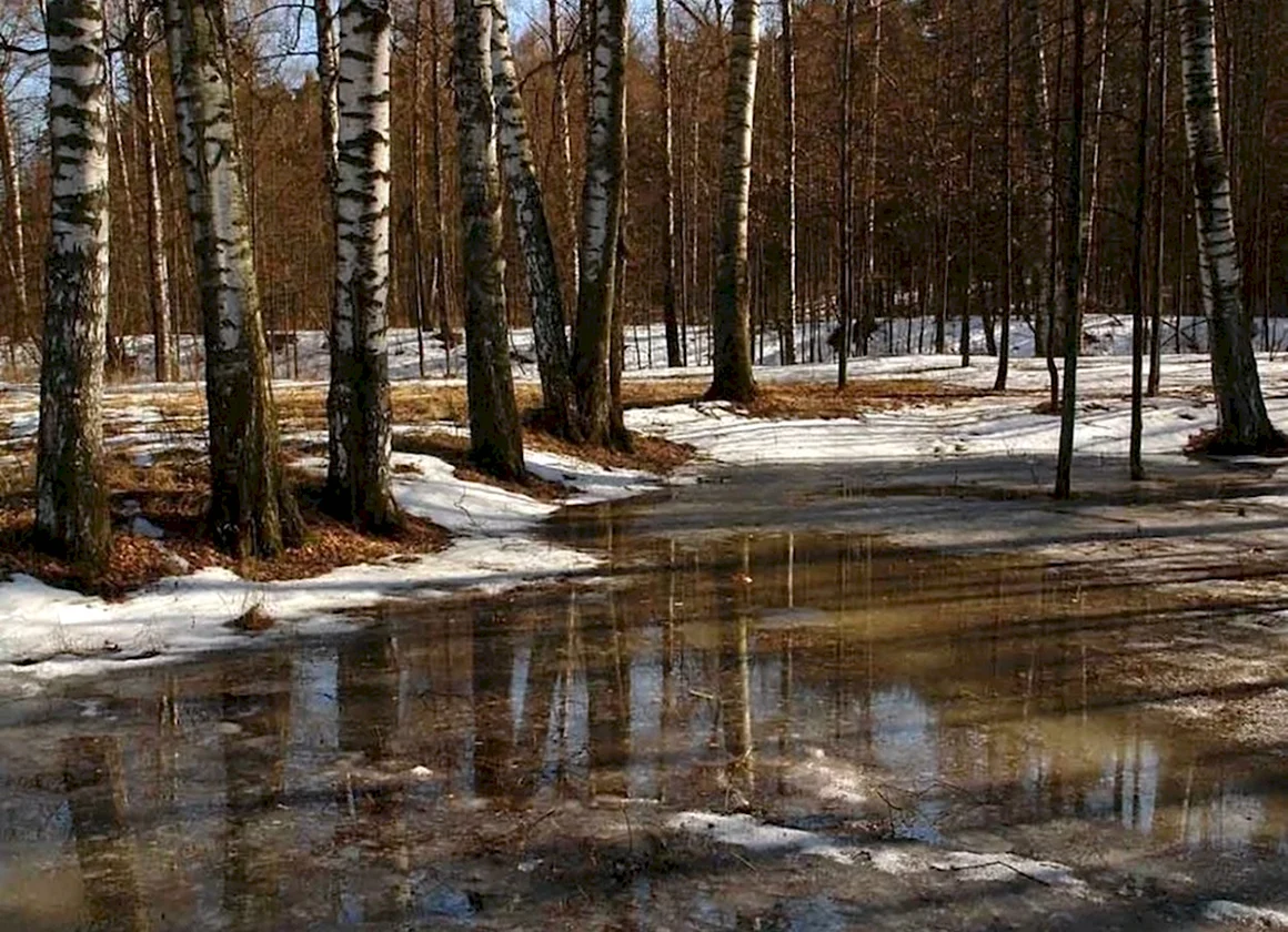 Ранняя Весна