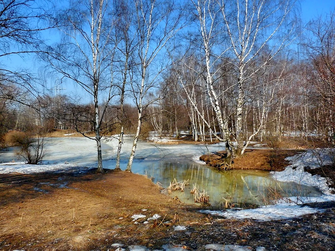 Ранняя Весна пейзаж