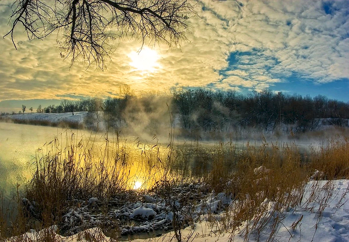 Ранняя Весна солнце