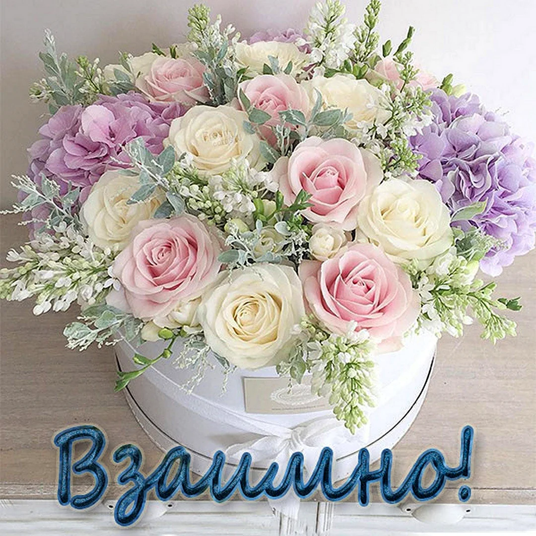 Ранункулюс Прованс
