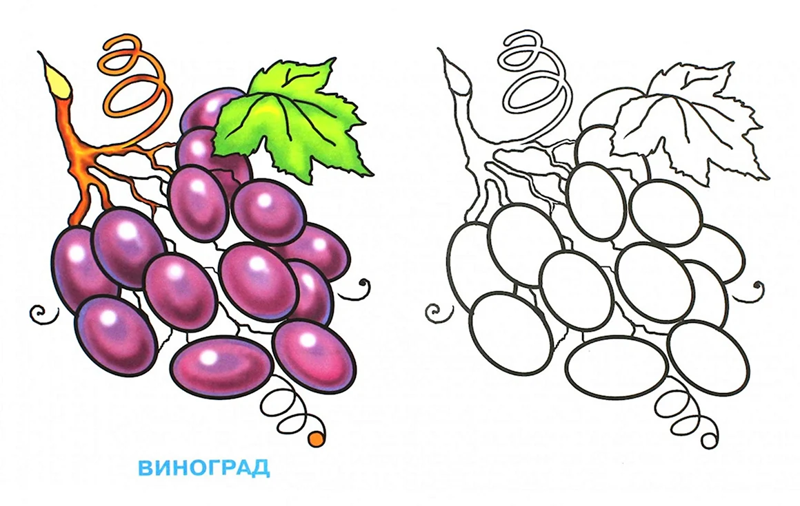 Раскраска ягоды