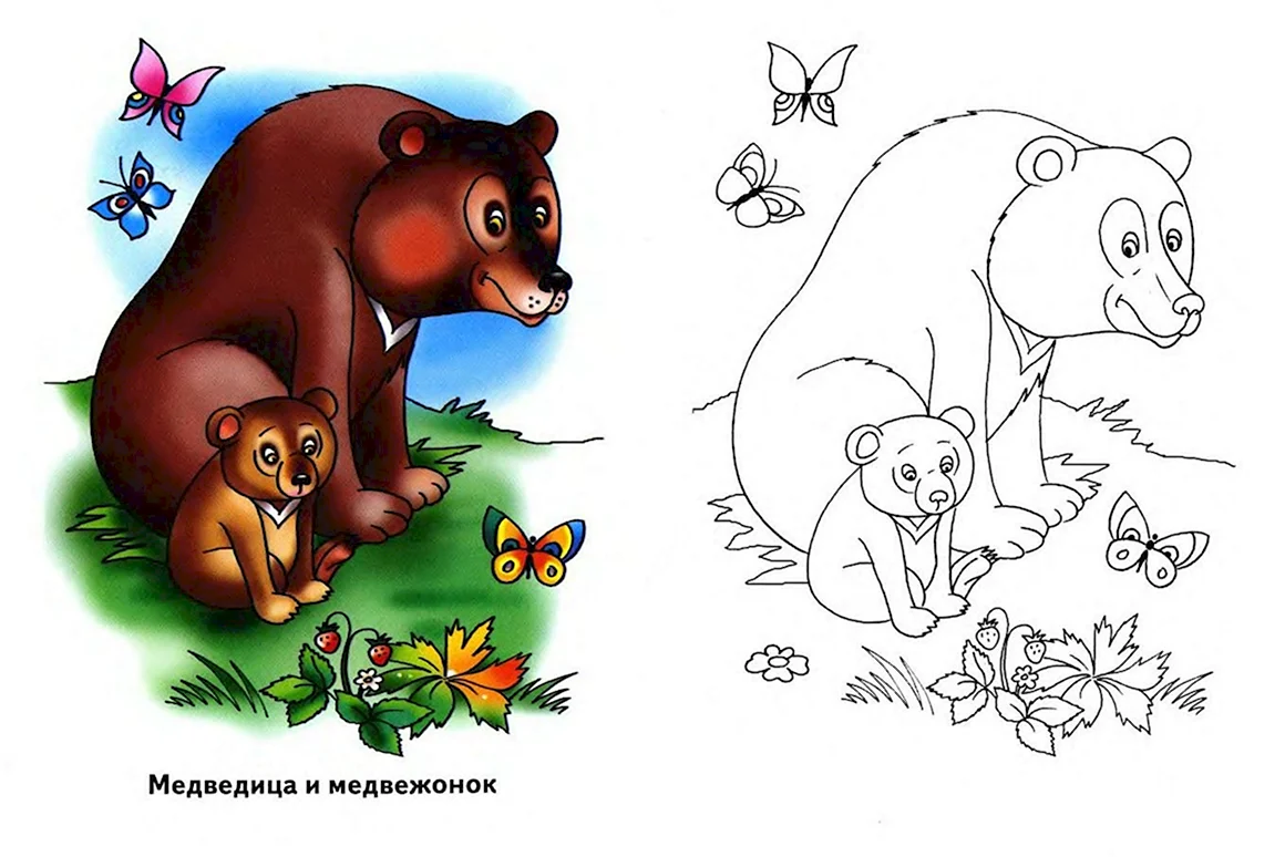 Раскраска Медведица с медвежатами