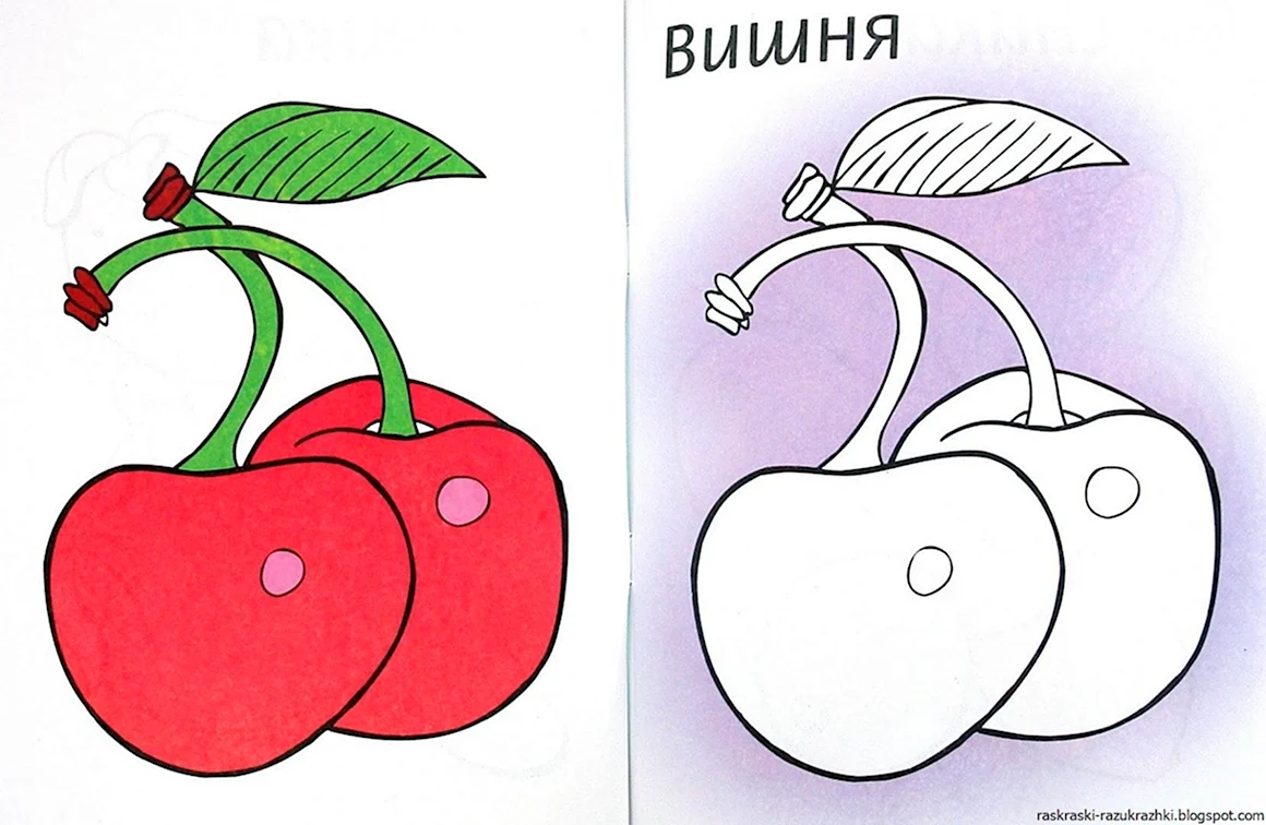 Раскраски
