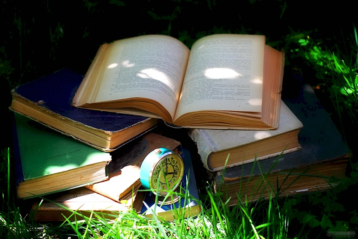 Раскрытая книга