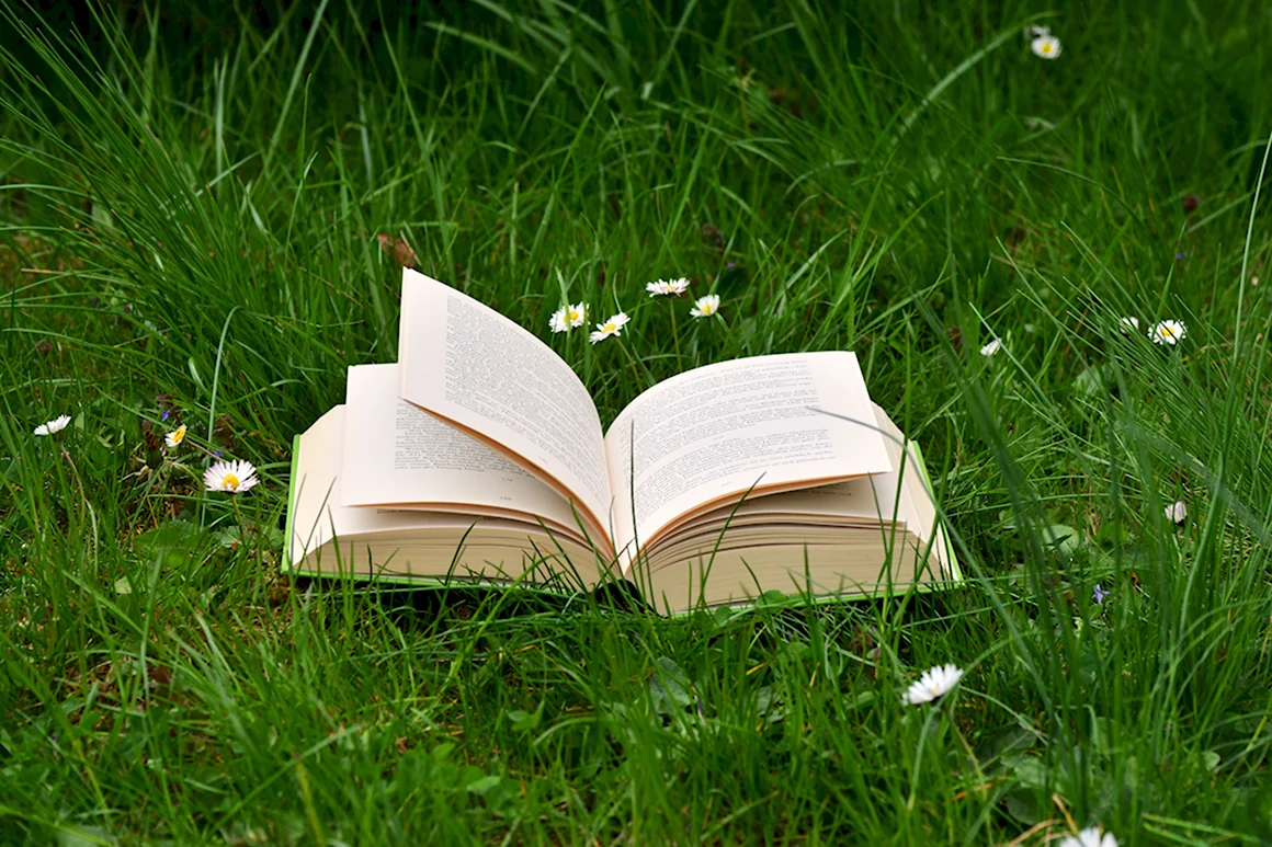 Раскрытая книга