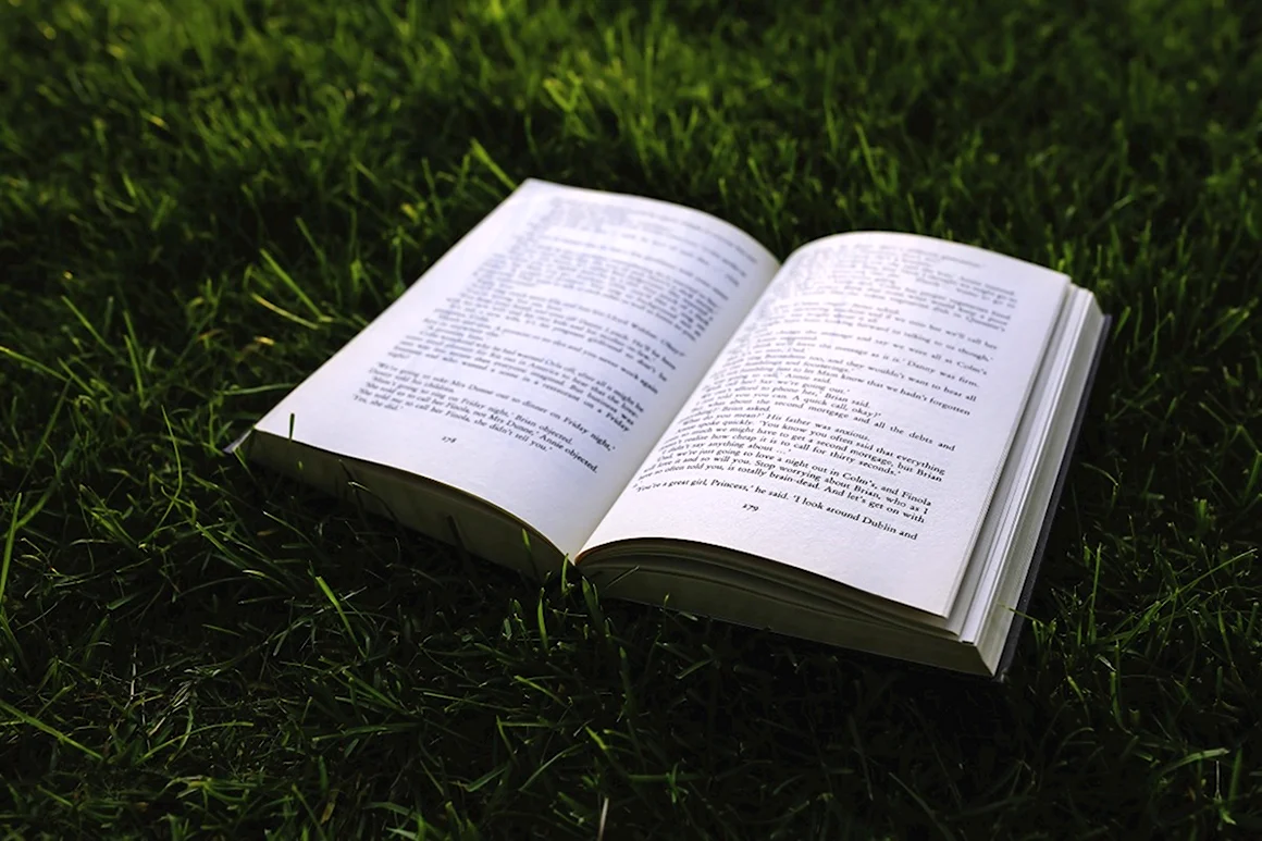 Раскрытая книга