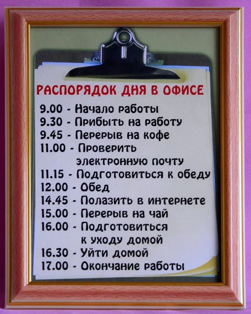 Распорядок рабочего дня