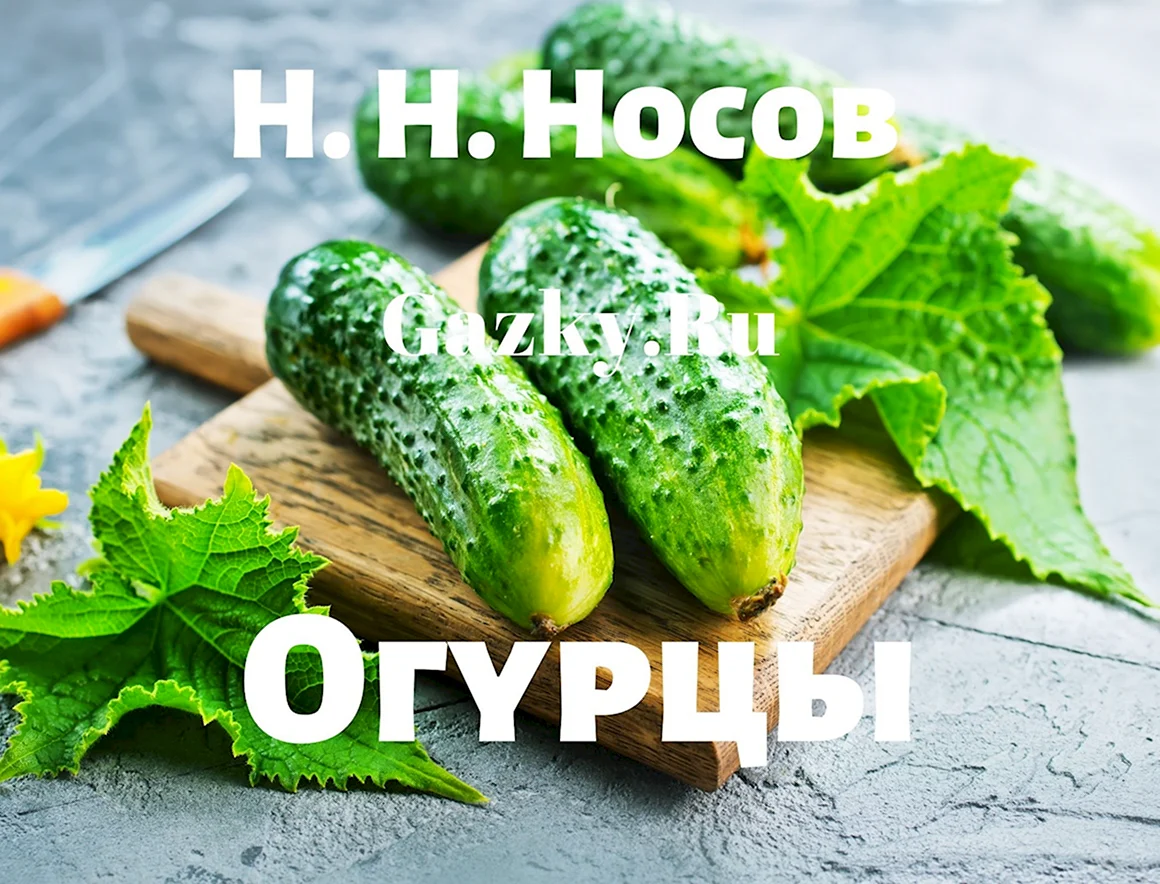 Рассказ огурцы