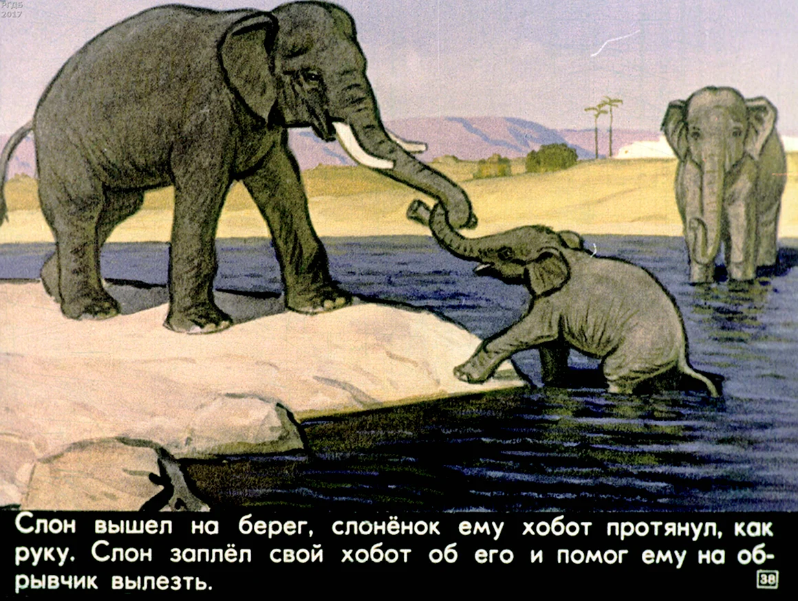 Рассказ про слона Житков
