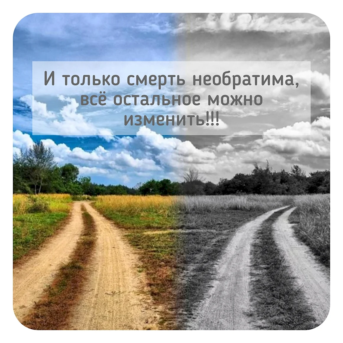Разные дороги