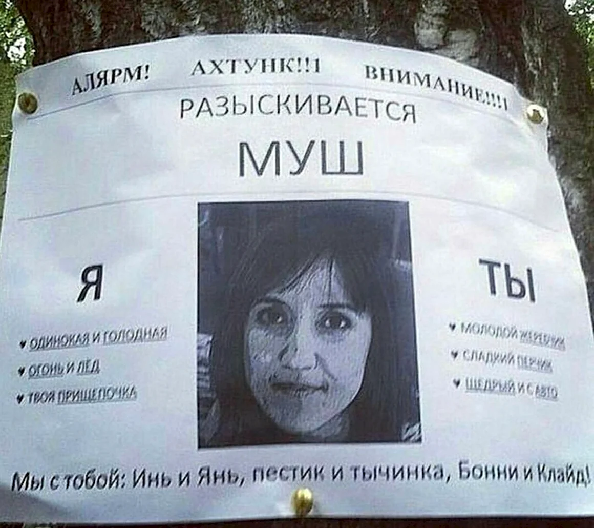 Разыскивается смешные объявления