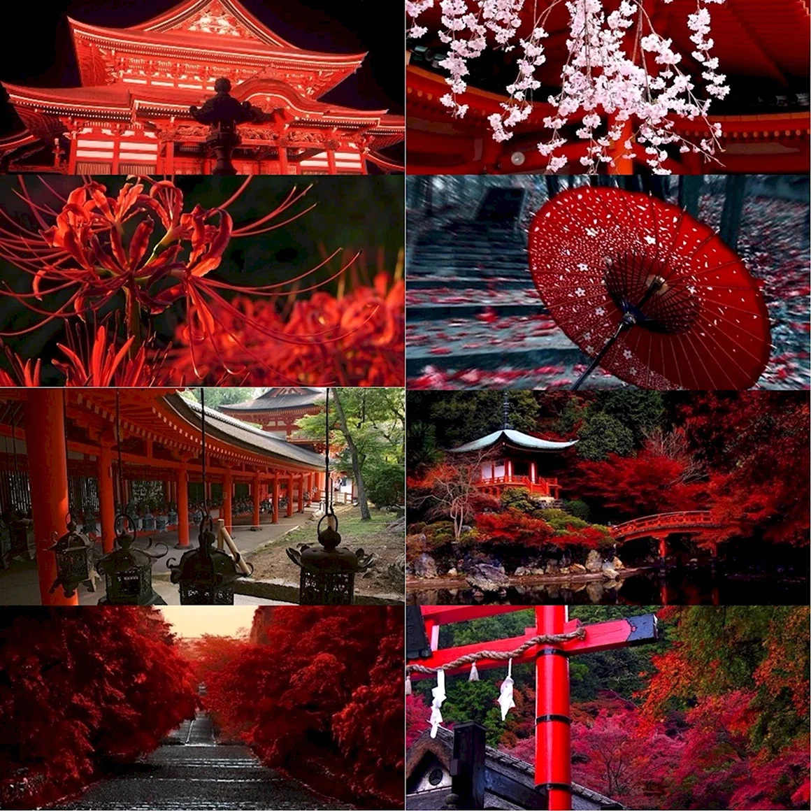 Red Esthetic Китай