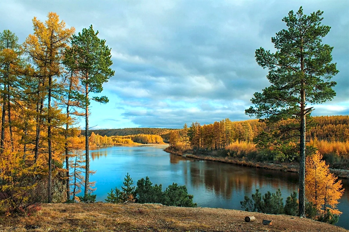 Река Чульман Якутия