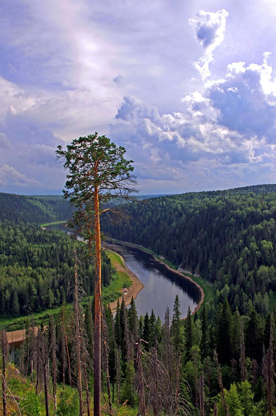 Река Чусовая Тайга