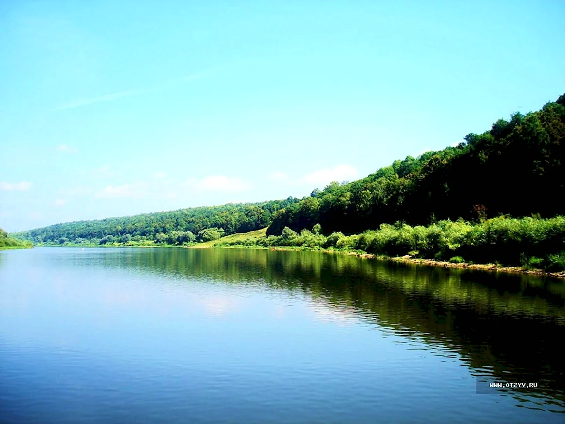 Река Таруса