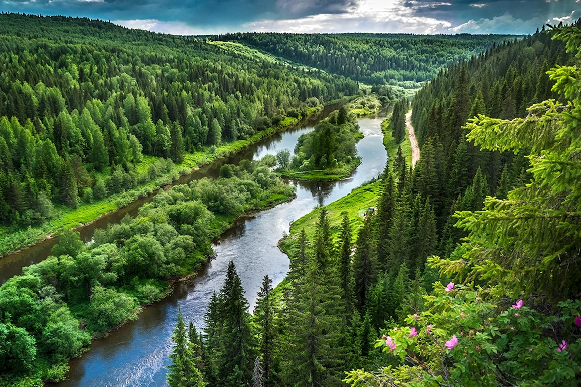 Реки в тайге Пермского края