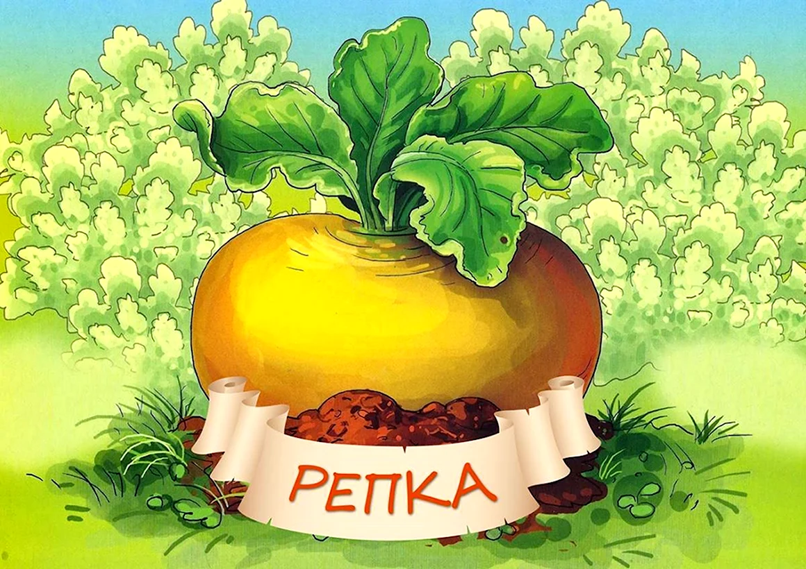 Репка картинка