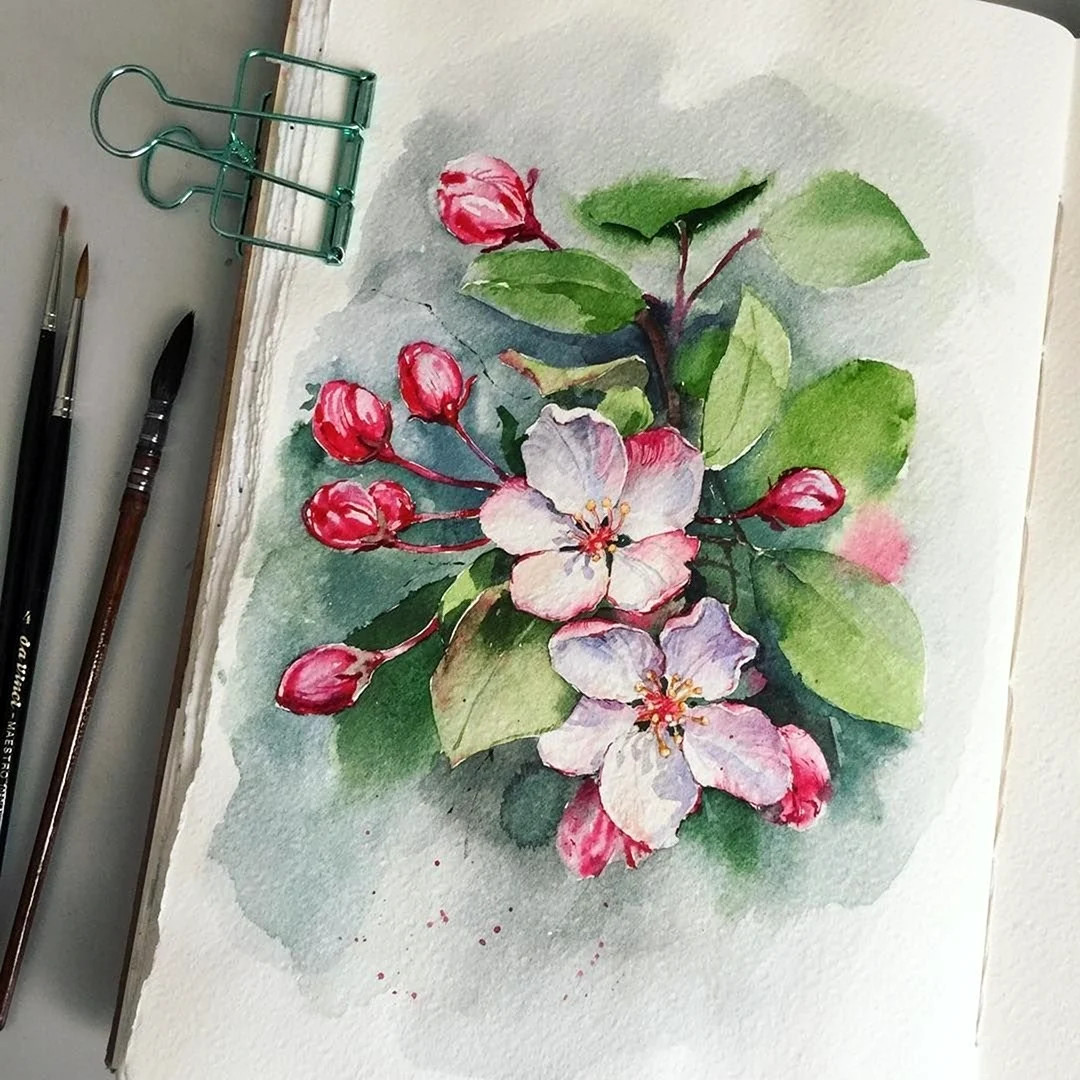 Рисование акварельными карандашами