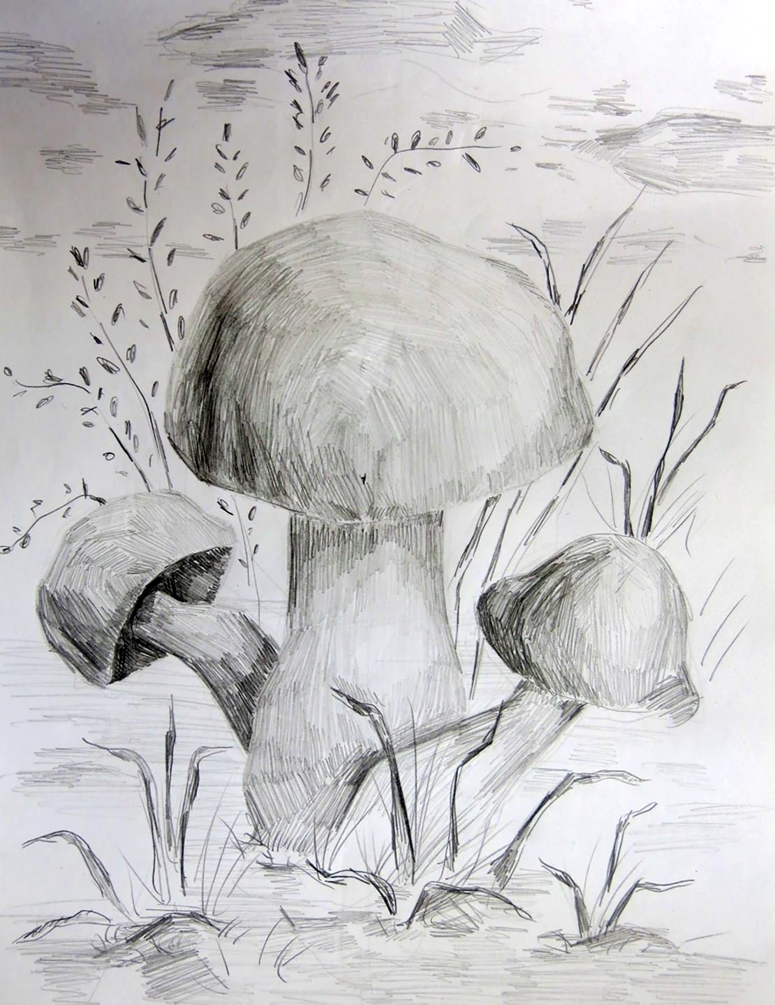 Рисование грибы