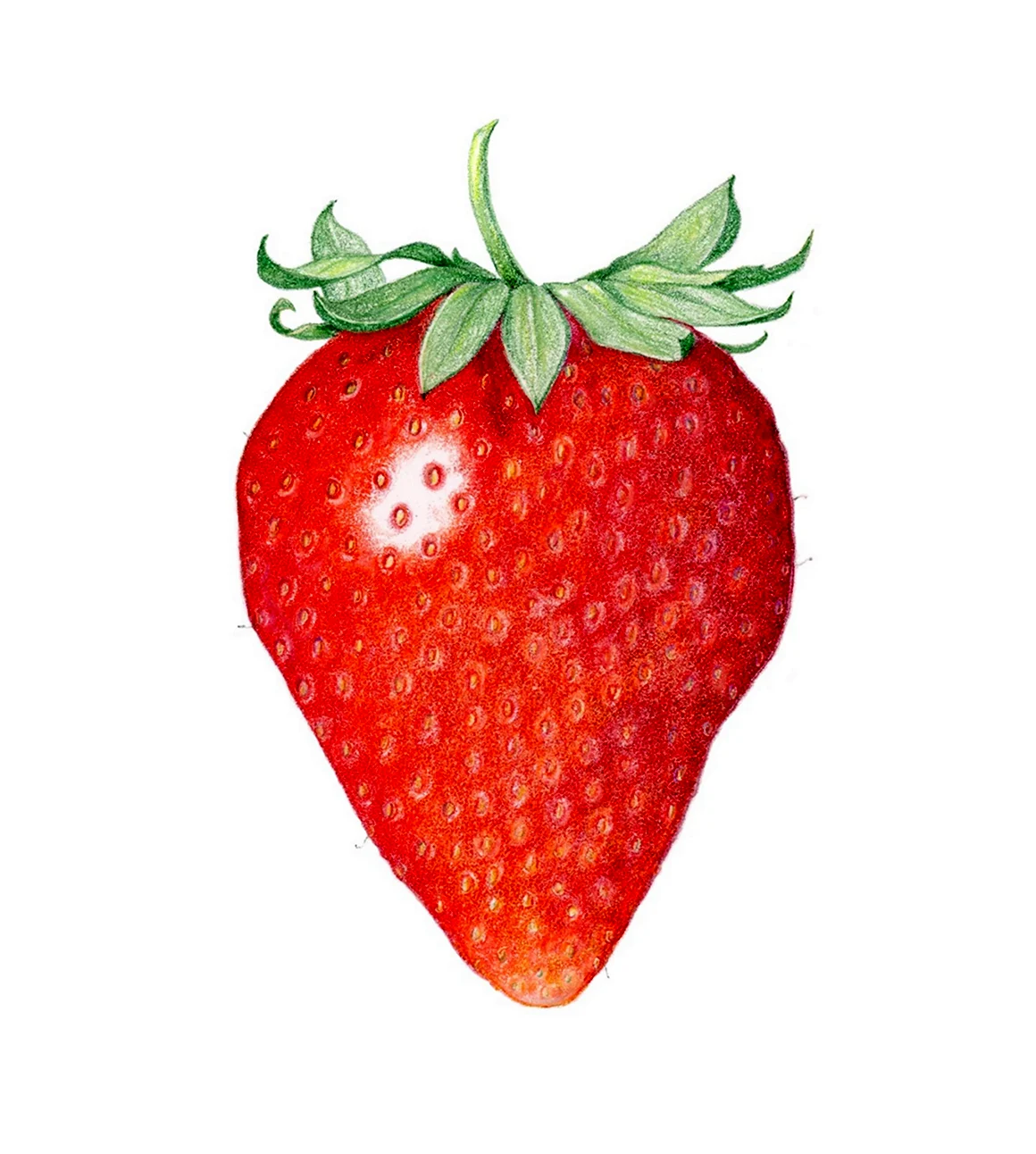 Рисование клубники