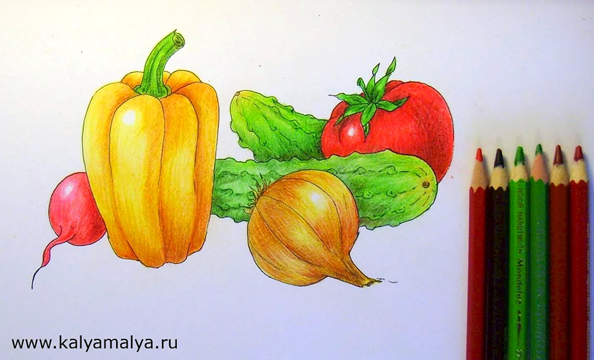 Рисование овощей и фруктов