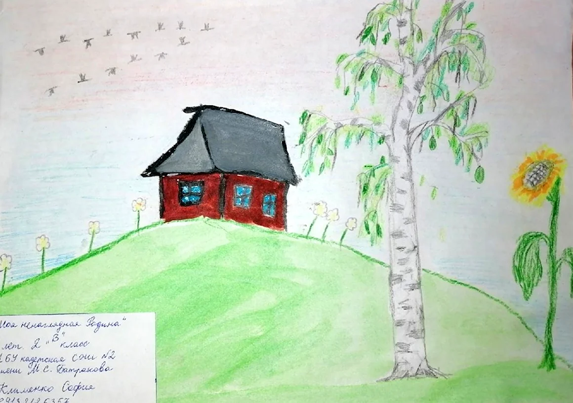 Рисунки