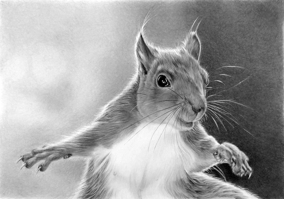 Рисунки