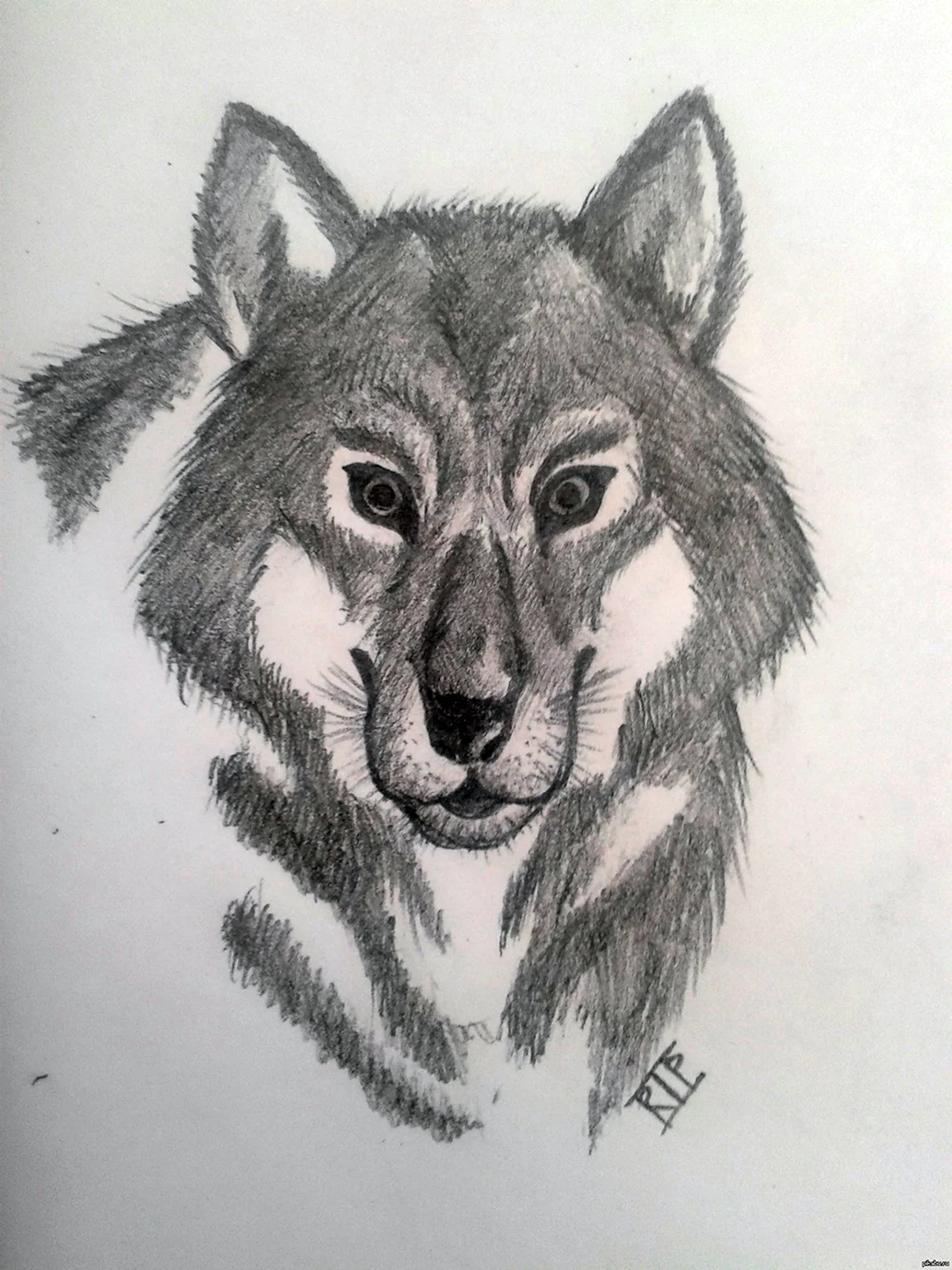 Рисунки