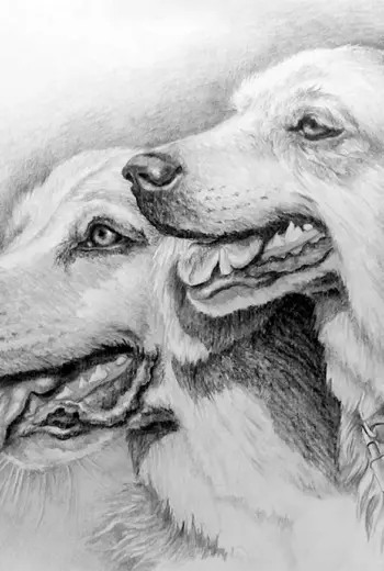 Рисунки карандашом