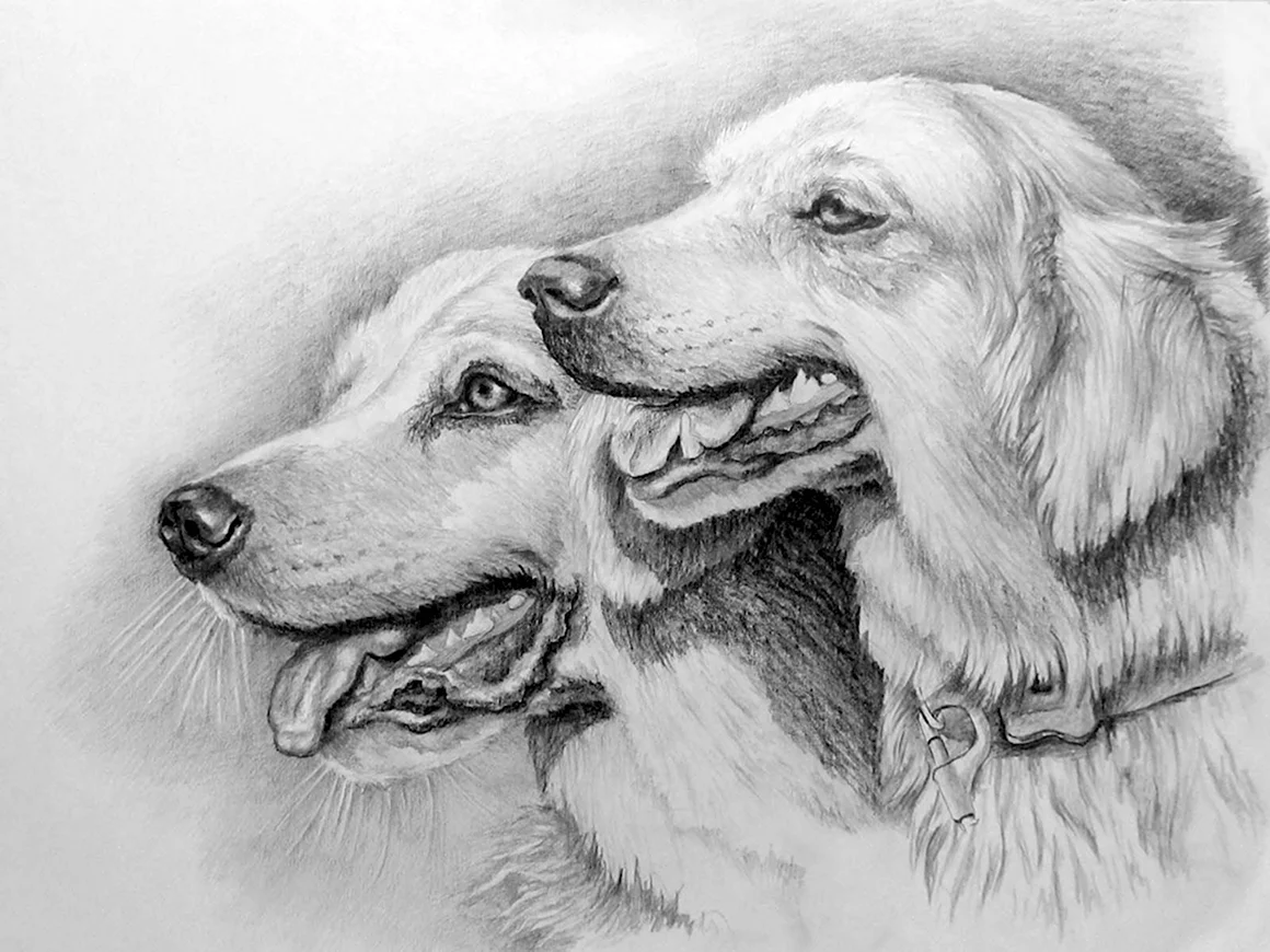 Рисунки карандашом