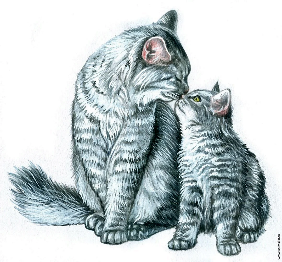 Рисунки котов