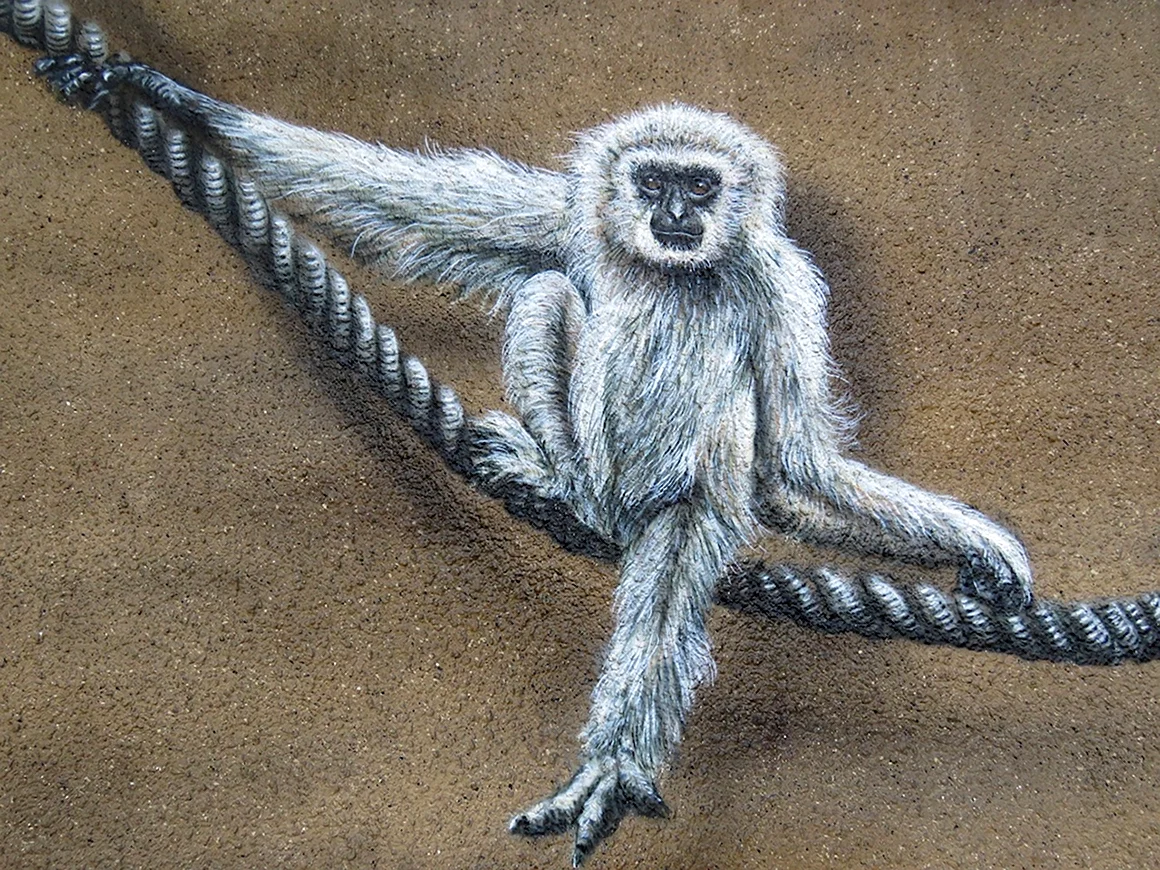Рисунки красками Канато