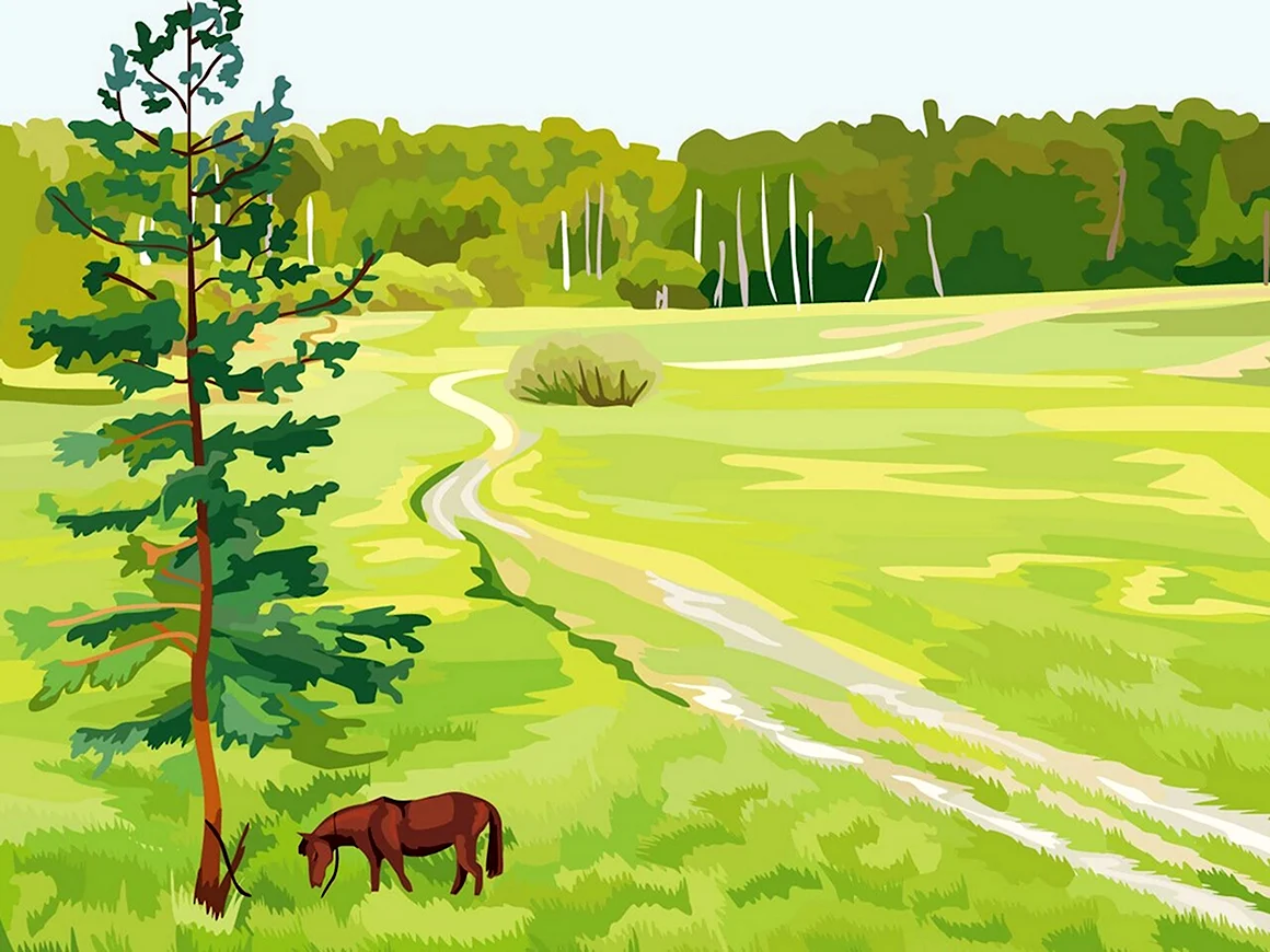 Рисунки природы