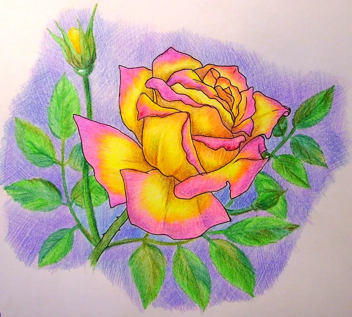 Рисунки своими руками