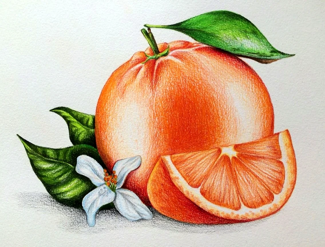 Рисунки цветными карандашами
